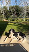 talweisswasser Altpins Profile Picture
