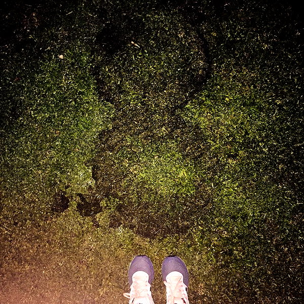 adihimelbloy instagram image archive image