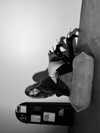 ariana_vomi Altpins Profile Picture