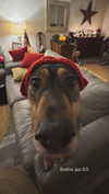 1uvgabi Altpins Profile Picture
