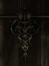 vvelum_ Altpins Profile Picture