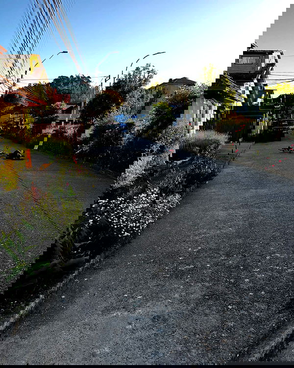 naia_gg naia_gg archive image