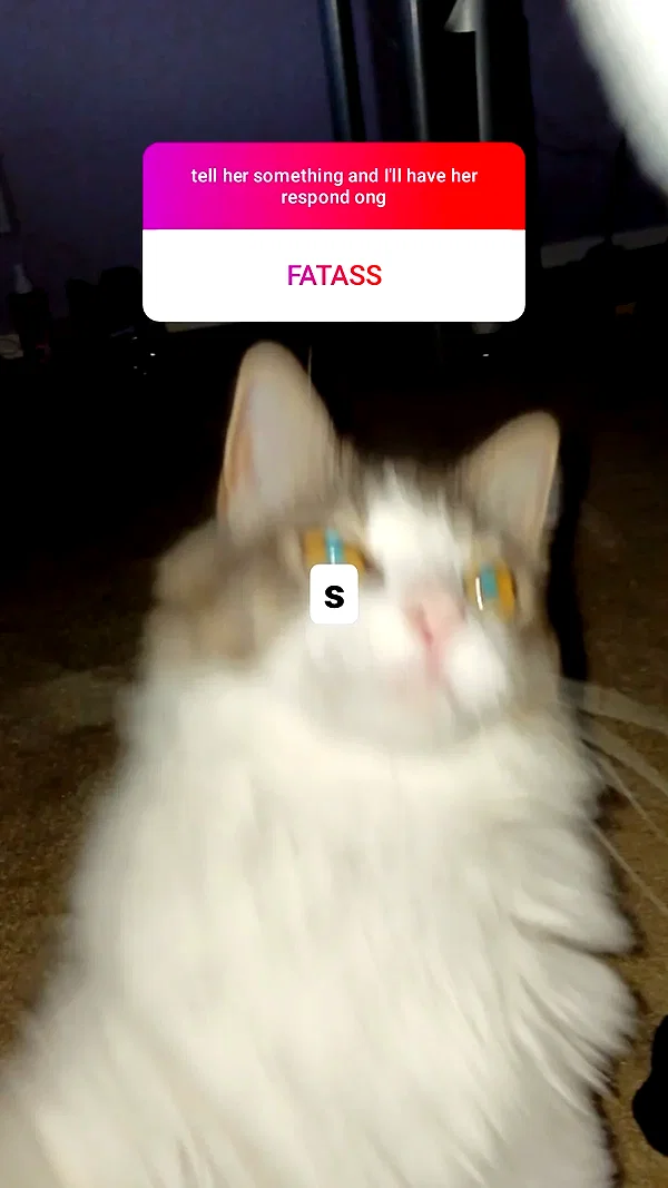 vanta.vinny archive image