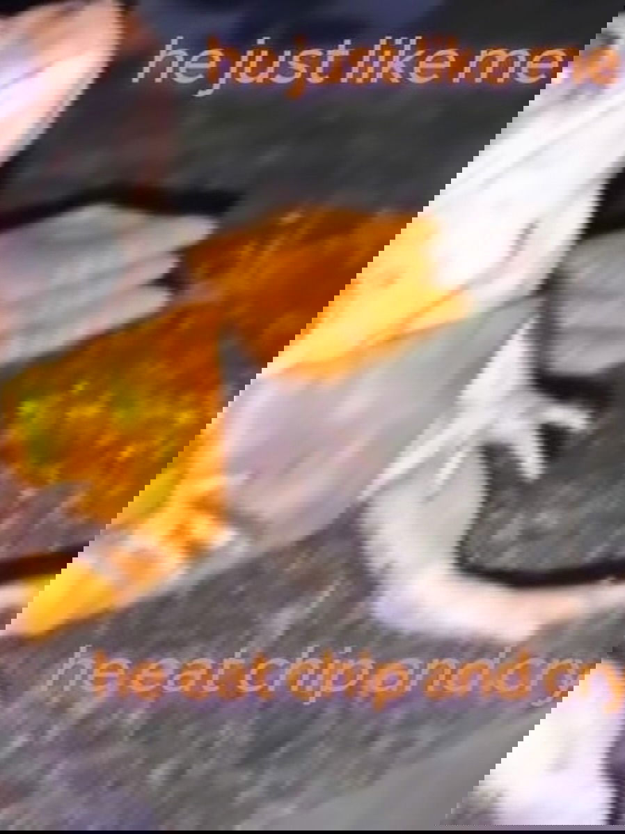 iamm3dusa instagram image archive image