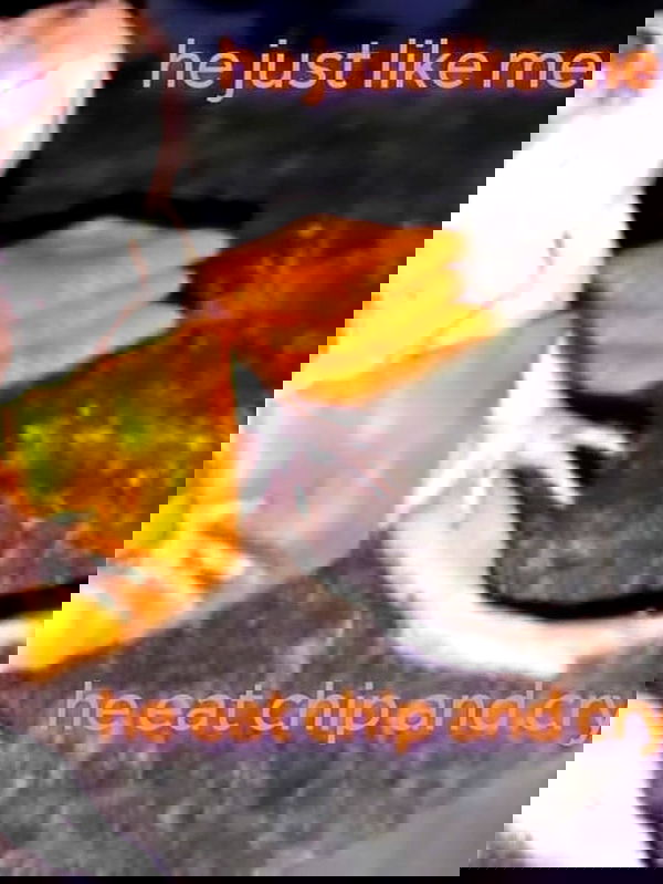 iamm3dusa image ~ Altpins