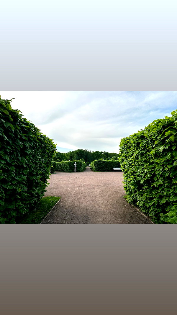forestowwwl instagram image archive image