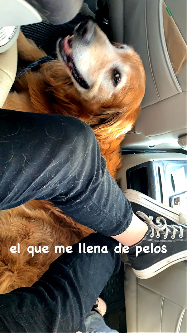 analuvillarreal archive image