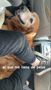analuvillarreal Altpins Profile Picture