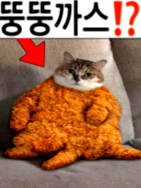 ariyukim instagram image archive image