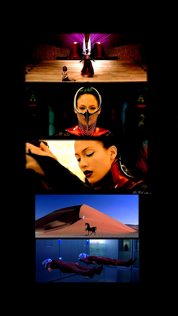 xairins xairins archive image