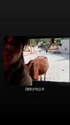 maycohen8 Altpins Profile Picture