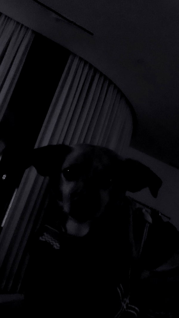 arianagrande instagram image archive image