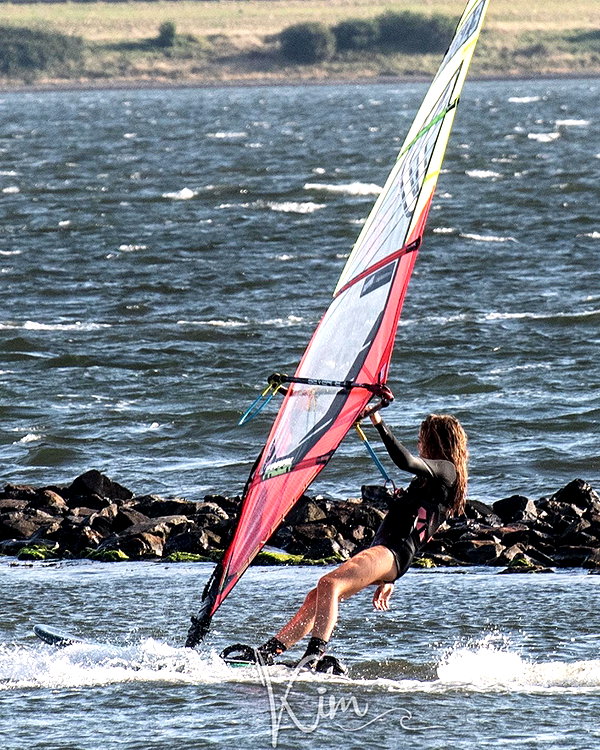 surfsterre instagram image archive image