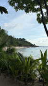 shirakor_ Altpins Profile Picture