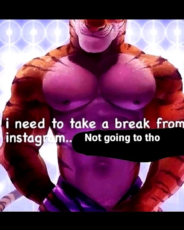 leanbeefpatty instagram image archive image