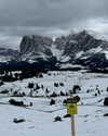 rouxroux.tv Altpins Profile Picture