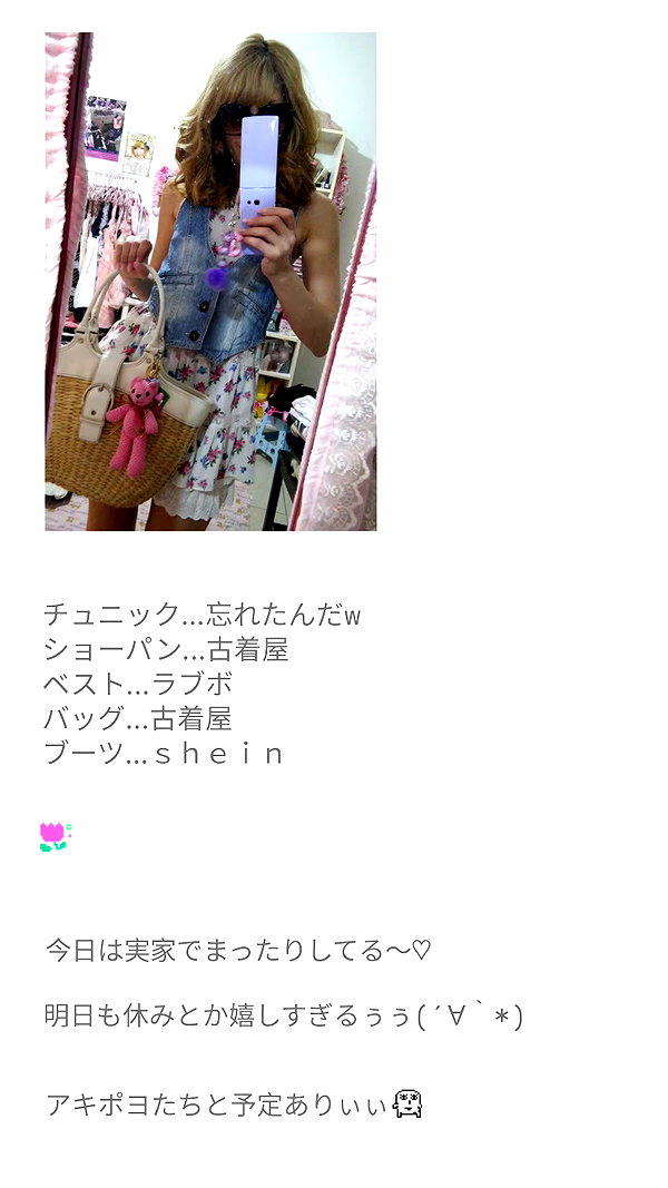 piyokoblog archive image
