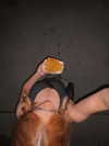 ohheyanastasia Altpins Profile Picture