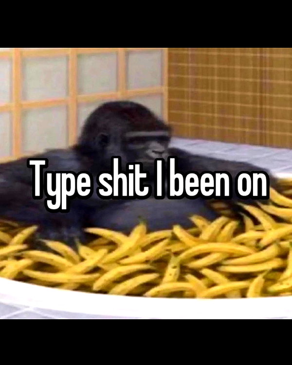 leanbeefpatty instagram image archive image