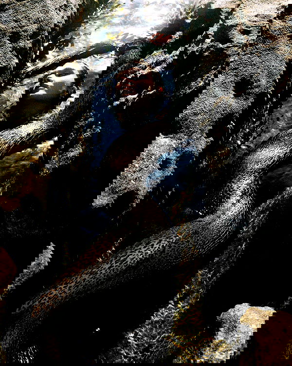 taylor.creeden taylor.creeden archive image