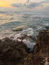 alma_ck_ Altpins Profile Picture