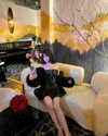 lyhythuedoxinh Altpins Profile Picture