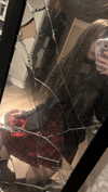 veildose Altpins Profile Picture