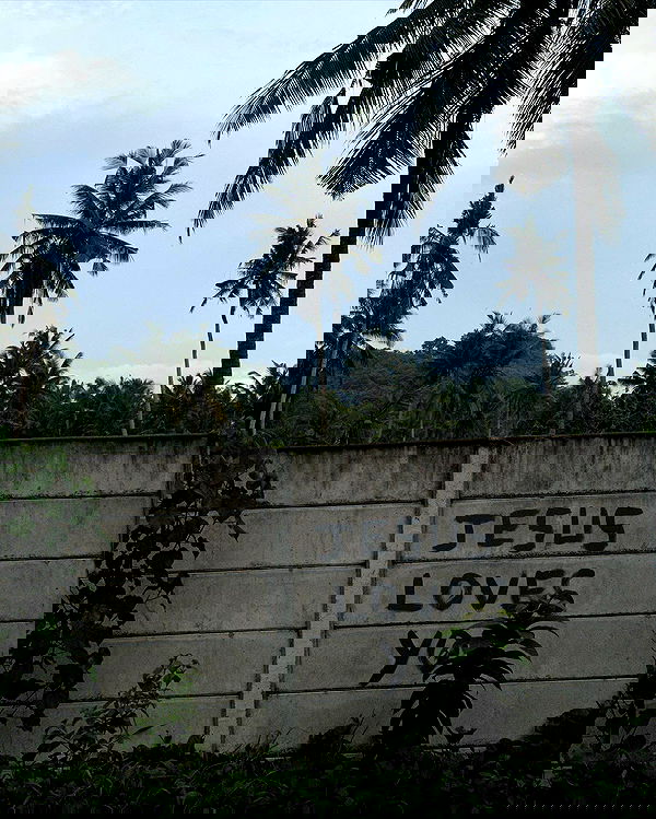 kkulakovaa image ~ Altpins