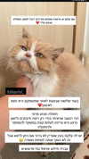 alex.banin Altpins Profile Picture