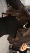 miumiustargirl Altpins Profile Picture