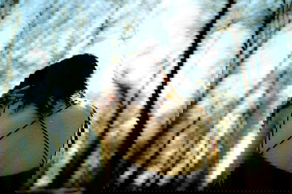 vvvierness vvvierness archive image