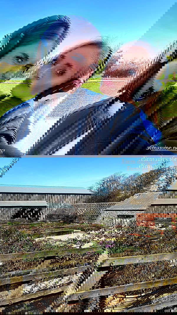 taylor.creeden taylor.creeden archive image