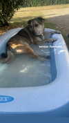 _urbaneva Altpins Profile Picture