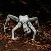 ellianawalmsley Altpins Profile Picture