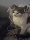 a.tinn___ Altpins Profile Picture