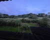 lolontlia Altpins Profile Picture