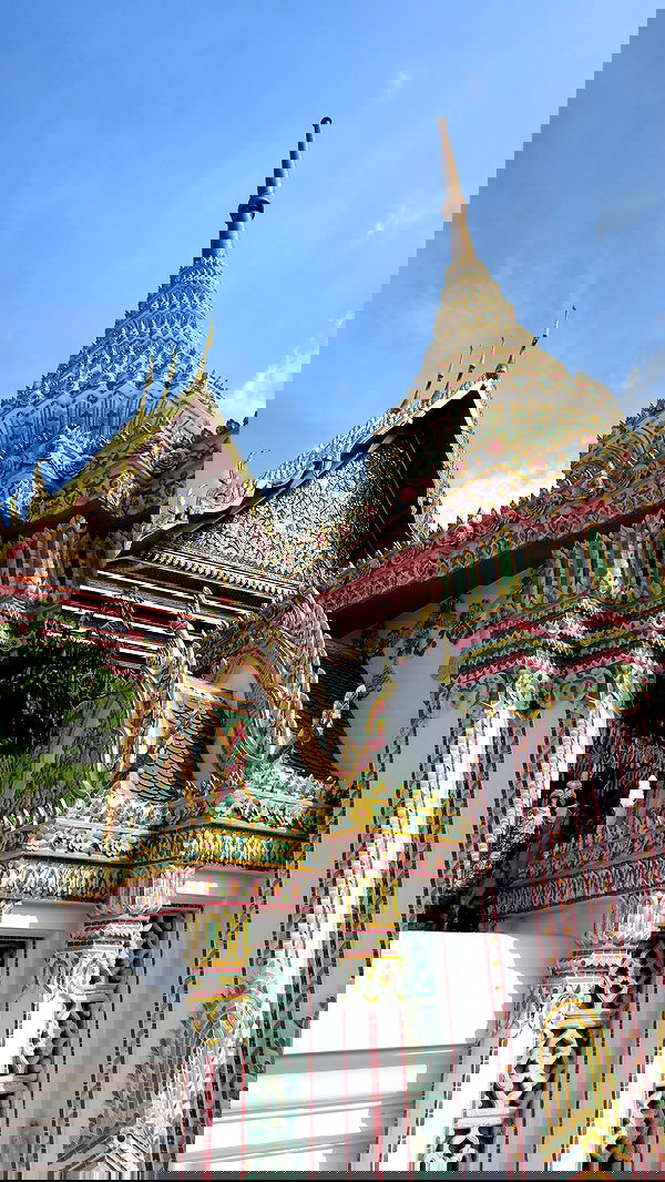 taylor.creeden taylor.creeden archive image