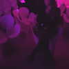 haileylayfield Altpins Profile Picture