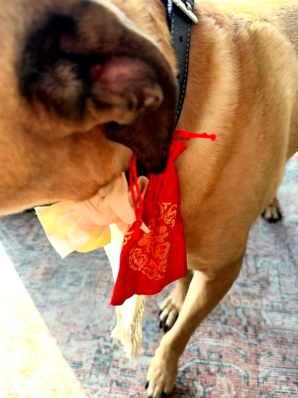 Archived image from @fyejax on Instagram