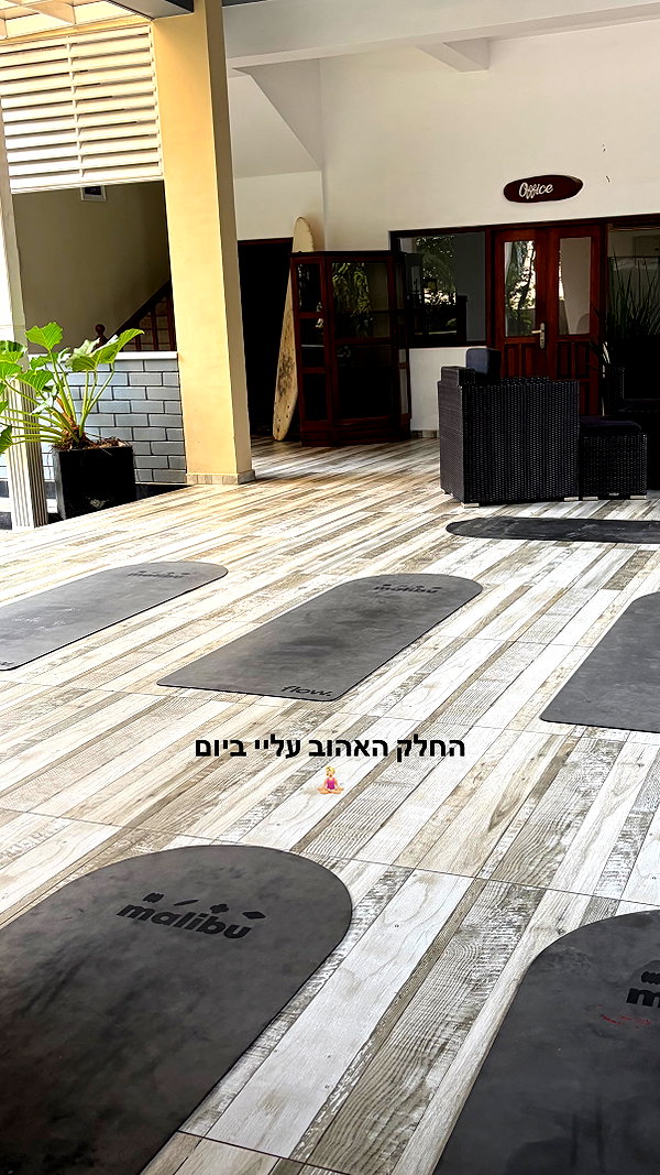 dana_ratushany instagram image archive image