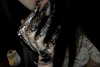 veildose Altpins Profile Picture