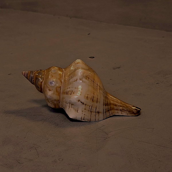 hannahxgda instagram image archive image