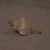 hannahxgda Altpins Profile Picture
