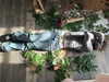 ash.onme Altpins Profile Picture