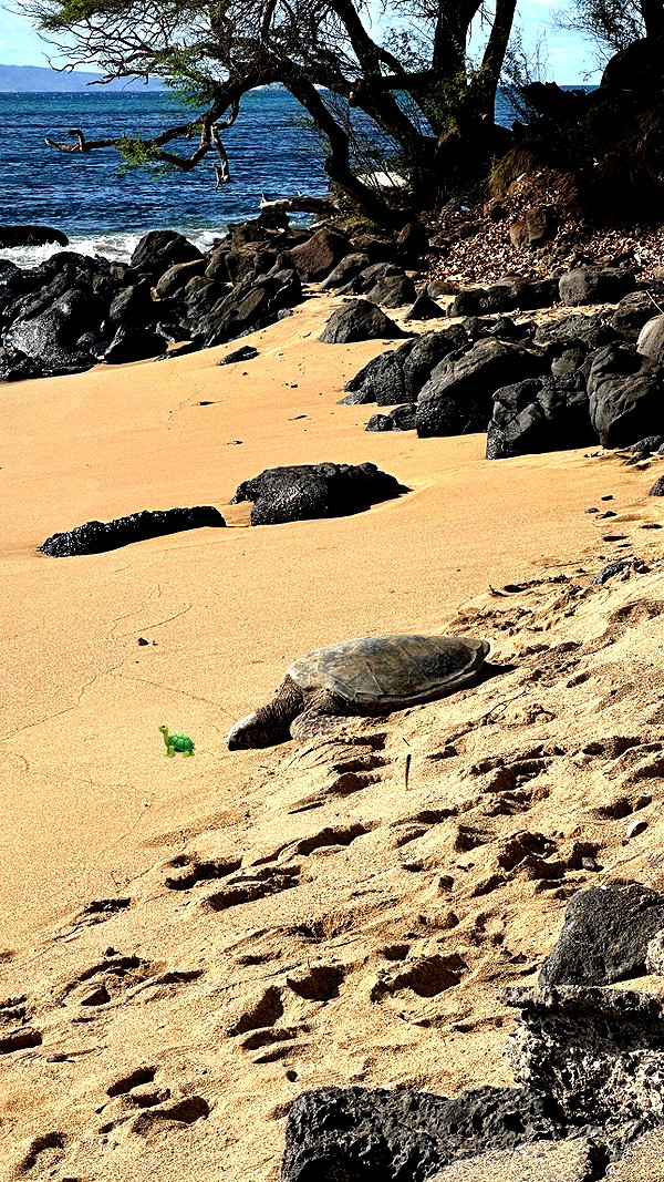elsarca instagram image archive image