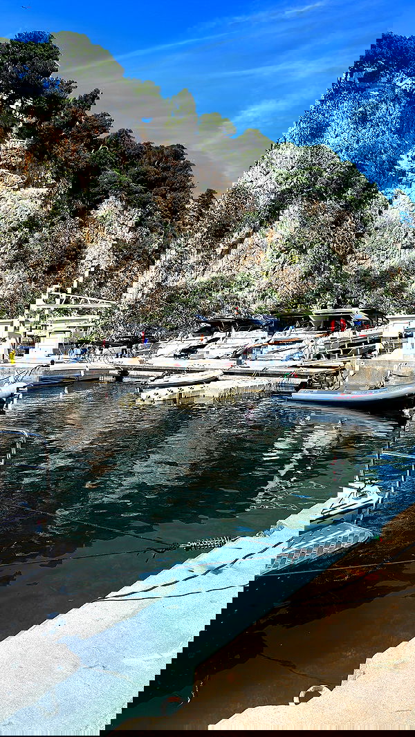 taylor.creeden taylor.creeden archive image