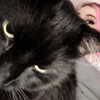 danielle.mercedie Altpins Profile Picture