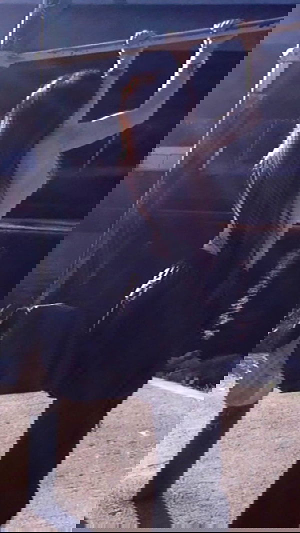 zommmbri zommmbri archive image