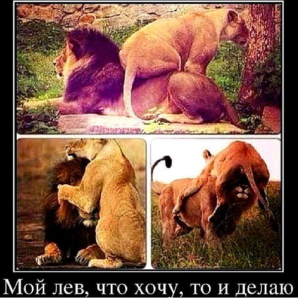 sychevskaya instagram image archive image