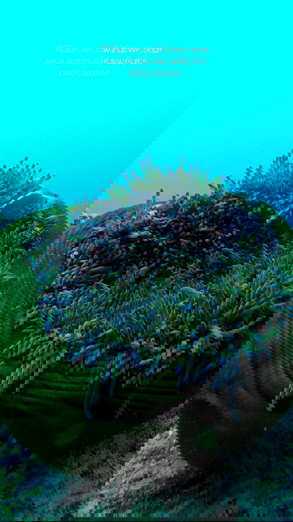 taylor.creeden taylor.creeden archive image